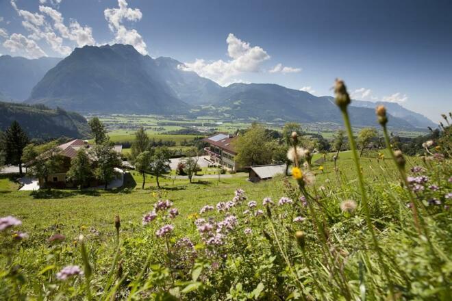 Blumenwiese mit Haus gesamt und Panorama