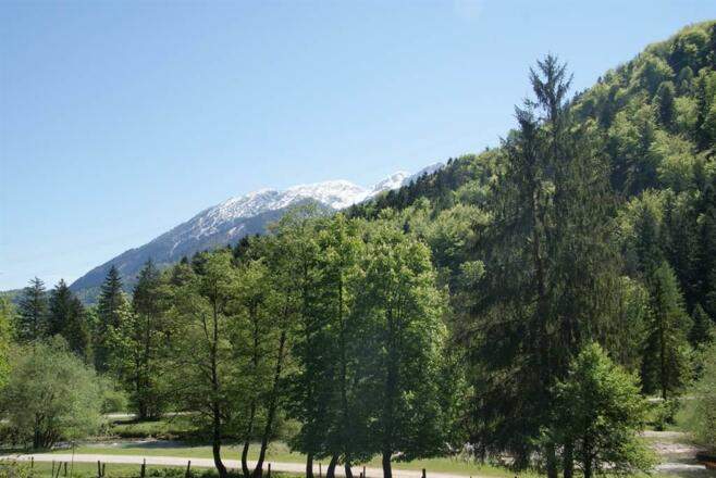 Apartment Bluntaumühle Ausblick