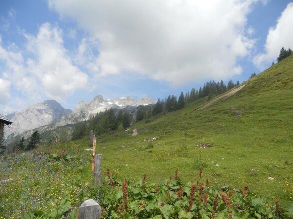 Traumhaftes Wetter auf der Gappenalm