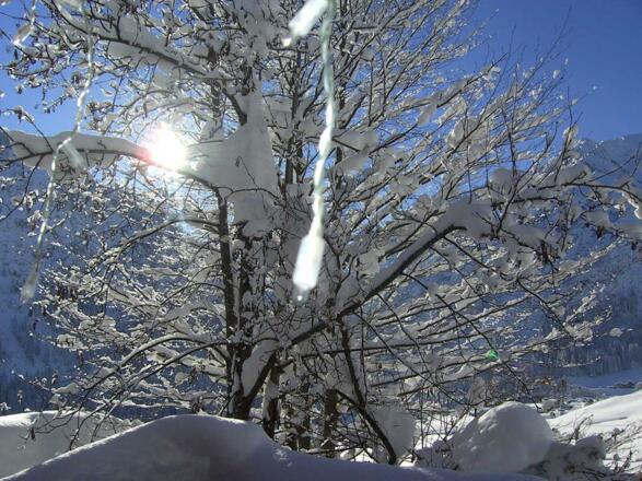 Winterbaun_011