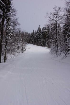 DSC02765 (Small)