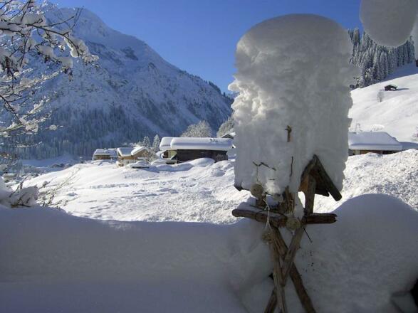 Wintervogelhaus_010