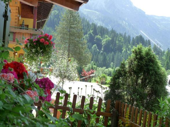 Blumen und Mehr......