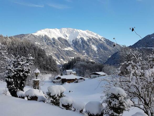 Aussicht vom Garten Richtung Hochjoch