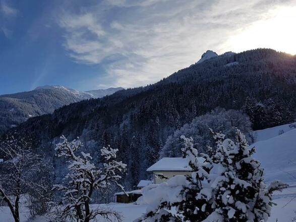 Aussicht vom Garten (Hora und Mittagspitze)