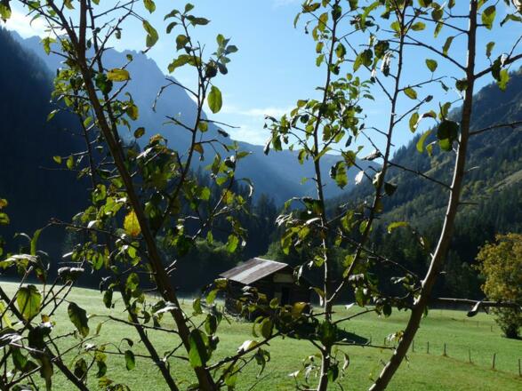 "Hausblick" Gemsteltal