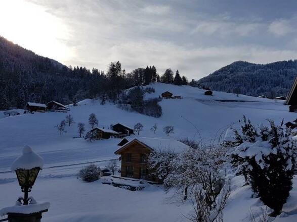 Aussicht vom Garten (mit Skiroute nach Tschagguns)