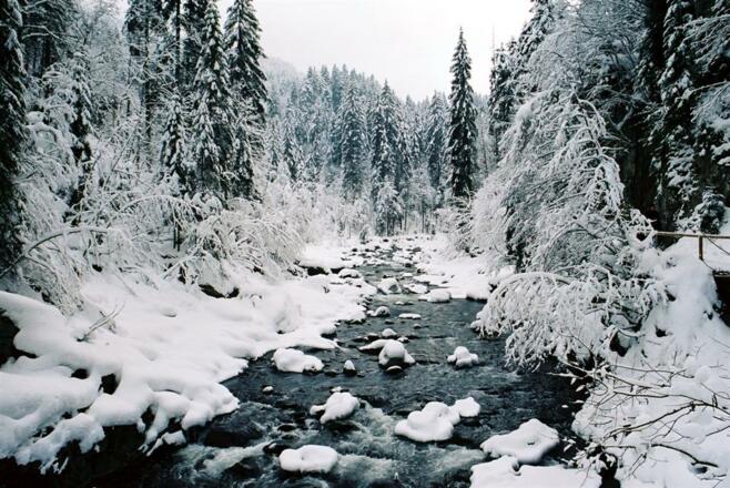 Breitach - unser Hauptfluss-