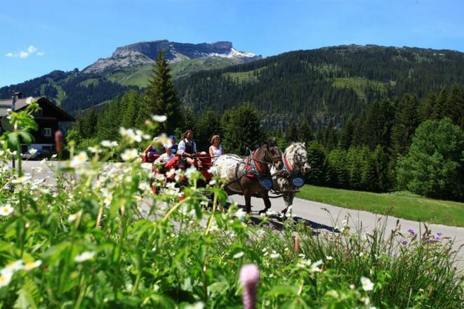 Pferdekutschenfahrten Sommer I