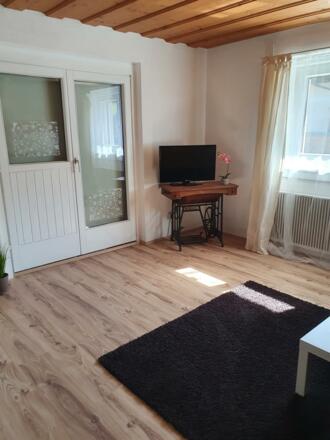 Haus Springl FEWO NEu 2020 (6)