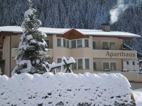 Aparthaus Aktiv im Winter