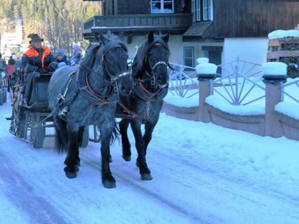 Pferdekutsche Georg Lanzinger