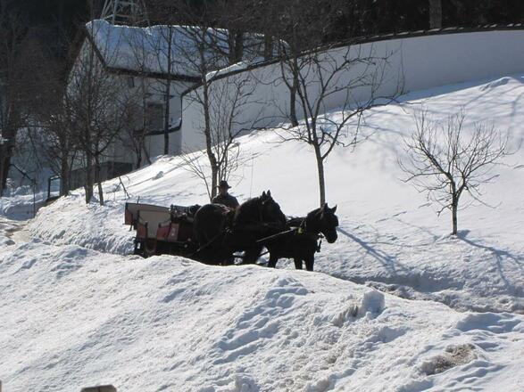 Pferdeschlitten Georg Schlager