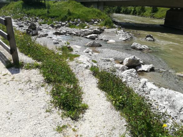 Ein- & Ausstiegsstelle Weißbach