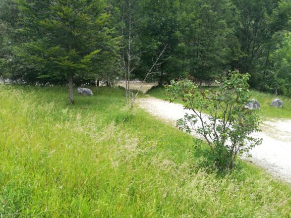 Ein- & Ausstiegsstelle Reith