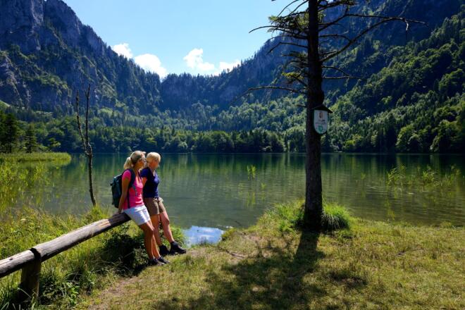 Wanderung um den Laudachsee am Grünberg