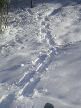 Winter 4