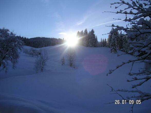 PICT0048