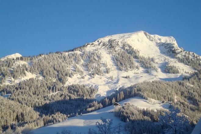 Winter 8