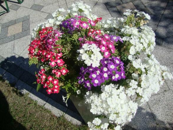 DSC02062