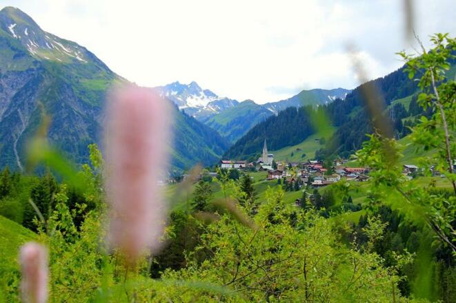 Blick nach Mittelberg im Sommer