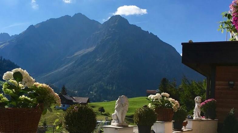 Sommerbild 4 mit Ausblick