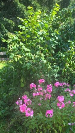 WP_20160830_16_49_13_Pro