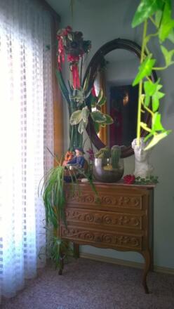 14837b3b-1ce3-21d9-49b0-9ce564def7a7