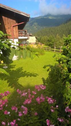 WP_20160830_16_47_41_Pro