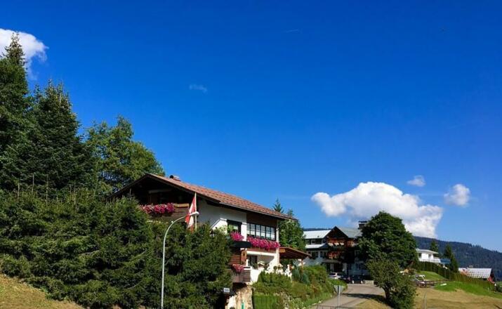 Sommerbild 3