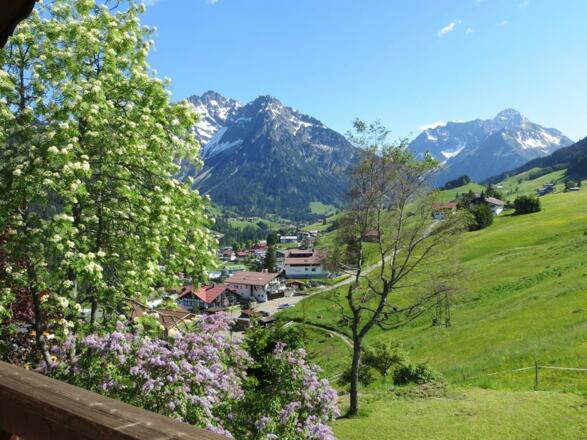 Blick vom Balkon Widderstein-Appartement