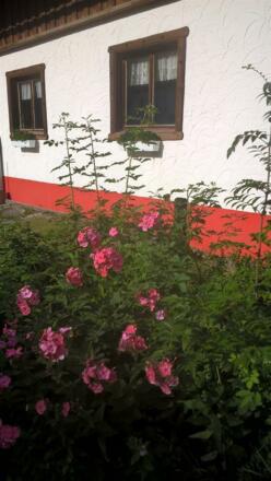 WP_20160830_16_47_21_Pro