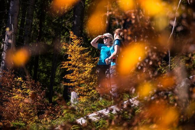 Herbst im Kleinwalsertal
