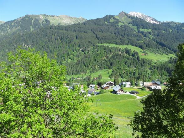 Blick vom Balkon Kanzelwand-Appartement