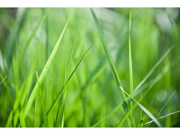 Therapiezentrum Stubai 6