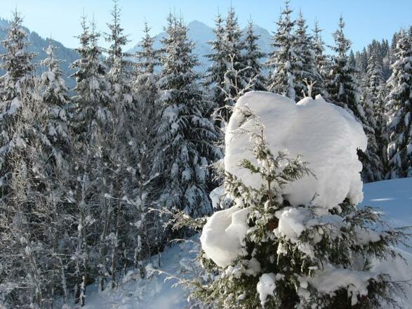 Winterlandschaft