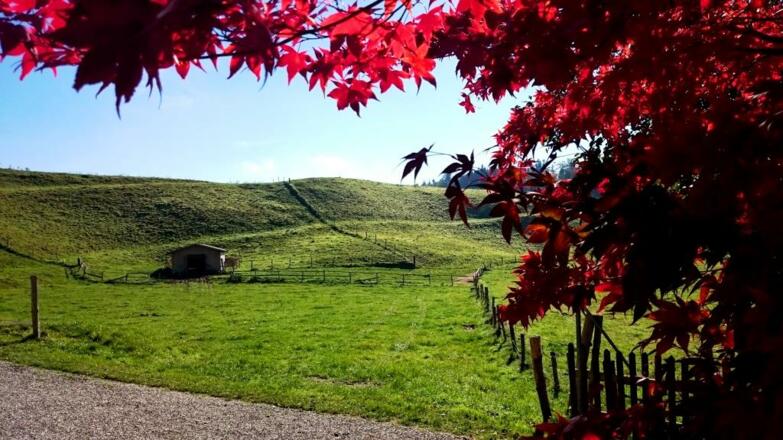 Wandern durch den kleinen "Pfaffenwinkel"