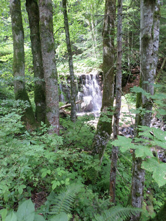 wasserfall schliersbach
