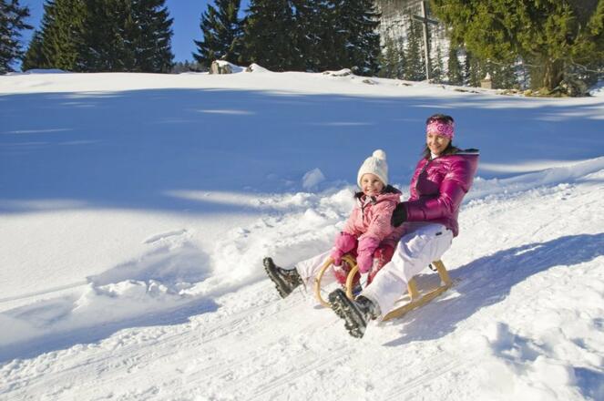 rodelvergnuegen-auf-der-staffn-alm