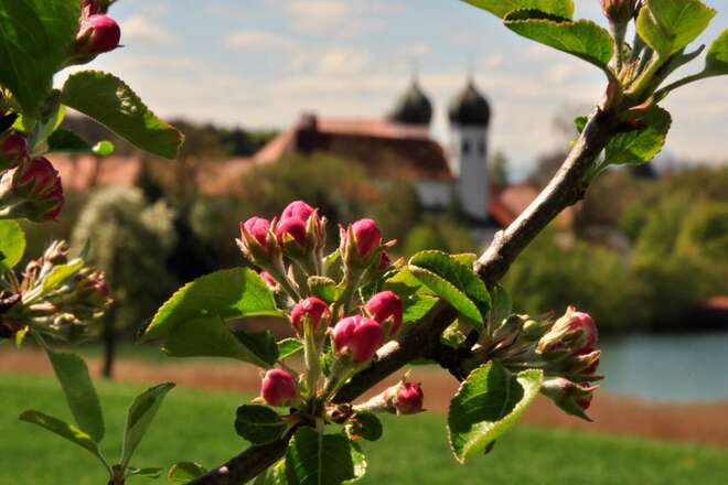 Blick auf St.Lambert