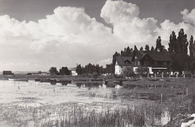 Harder Bodenseeufer - Buch und Inselbach Mündung