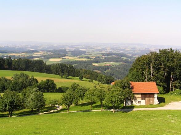 Landschaftsbild Sauwald