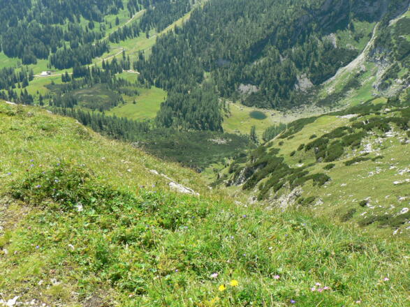 Brunnsteinersee-Teichlboden im Naturschutzgebiet Warscheneck