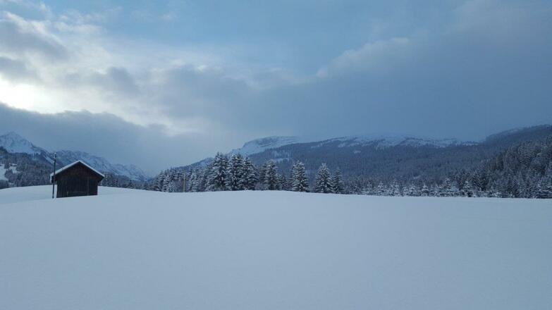 winterbild