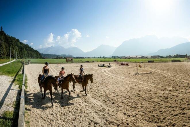 Reiten in Kuchl