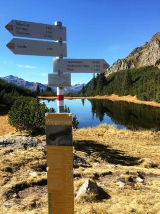 IMG-20171013-WA0007