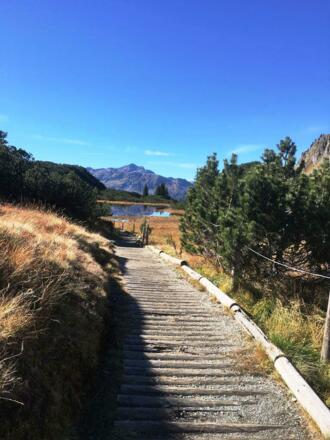 IMG-20171013-WA0006