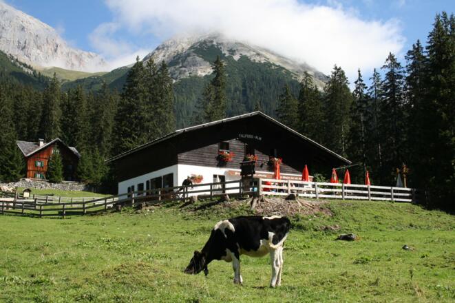 Tillfussalm