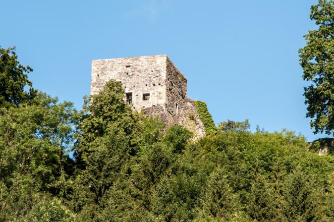 Burgruine Tosters