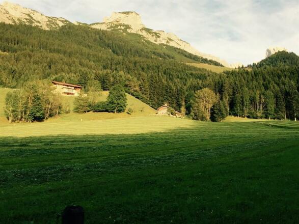 Am Waldrand